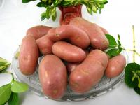 Pommes de terre Roosevalt