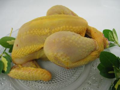 Photo : poulet