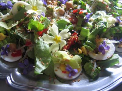 Image : Primevère - violettes et primevères en salade