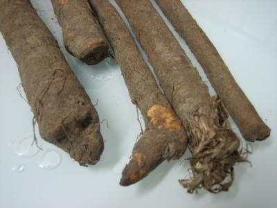 Photo : scorsonères ou salsifis