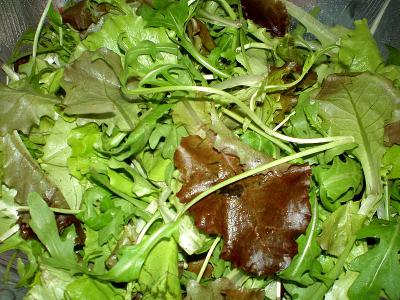 Photo : salade mesclun