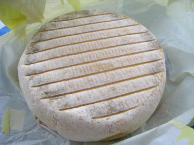 Image : Saint-Nectaire - Plateau de fromage