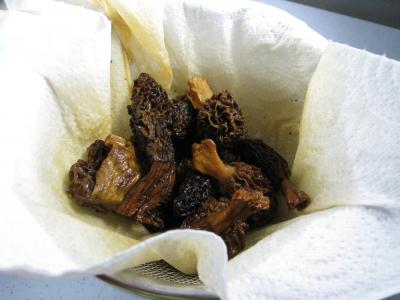 Rôti de biche aux morilles et au riz - 7.1