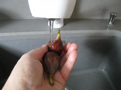 Chutney de figues aux épices - 2.1