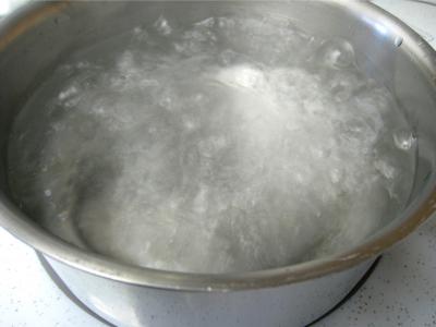 Chapon aux pommes et légumes avec sauce au champagne et armagnac - 5.3