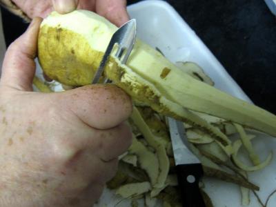 Chapon aux pommes et légumes avec sauce au champagne et armagnac - 4.2