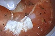Velouté de tomates et de chou - 7.2