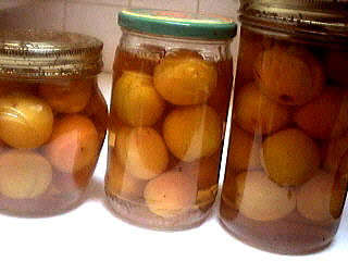 Alcool à 45° : Abricots à l'eau de vie
