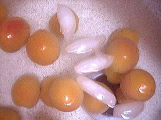 Abricots à l'eau de vie - 3.3