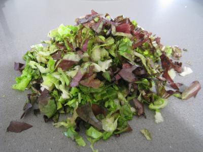 Foie gras aux lentilles et au vinaigre balsamique - 2.3
