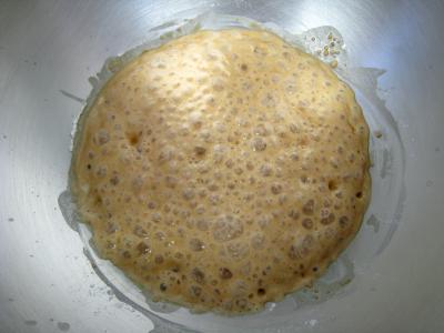 Fougasse - 2.1