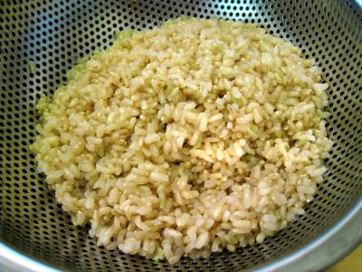 Salade de thon aux pêches - 6.2