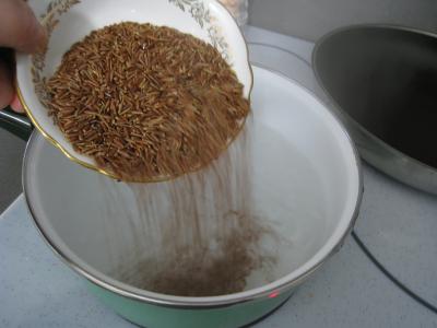 Aiguillettes de canard gras au coulis de pommes - 9.1