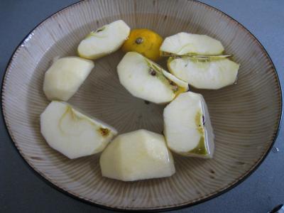 Aiguillettes de canard gras au coulis de pommes - 2.3