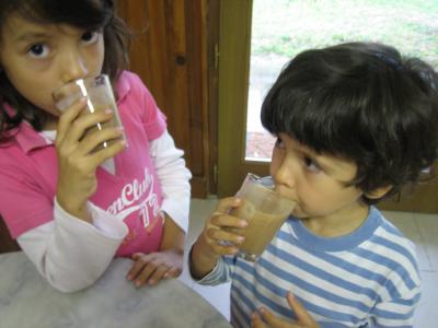 Lait de poule