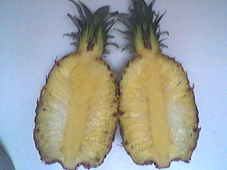 Ananas meringué - 1.1