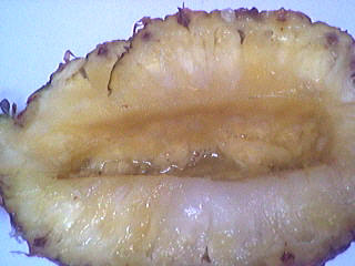 Ananas meringué - 1.2