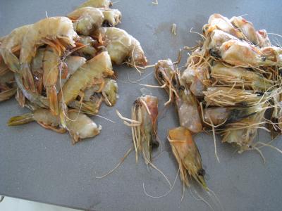 Crevettes à l'anis et sa sauce à l'orange - 3.1