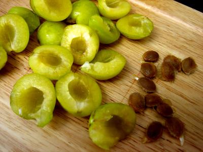 Confiture de mirabelles au Martini - 1.2