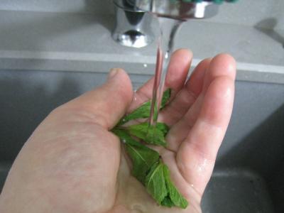 Tzatziki ou Concombre au yaourt à la grecque (Tzaziki) - 2.3