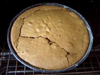 Gâteau au chocolat et son coulis de melon et pêches - 10.1