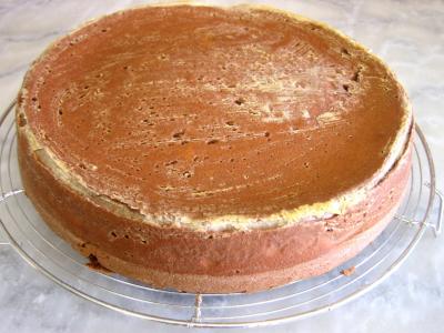 Gâteau au chocolat et son coulis de melon et pêches - 10.3