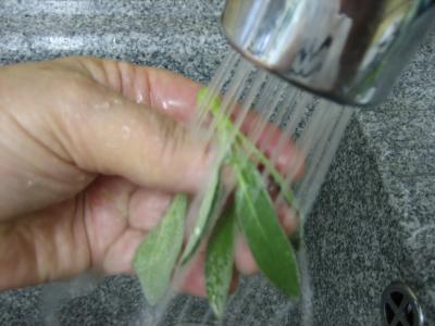 Image : Grog à la sauge et à l'armagnac