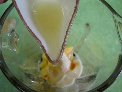 Melon glacé à la liqueur de Chartreuse - 3.4