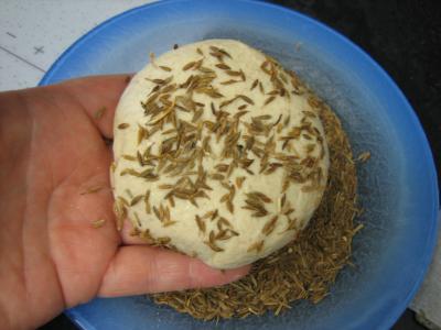 Pain au cumin - 9.1