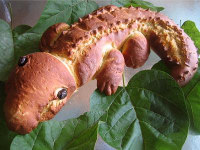 Image : Pain crocodile
