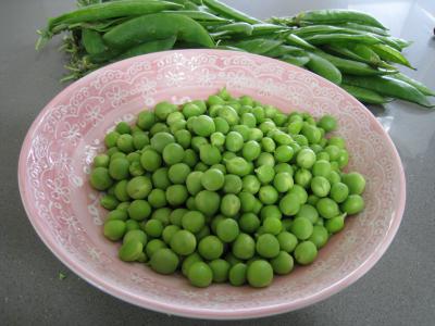 Epaule d'agneau et son nid de petits pois - 1.2
