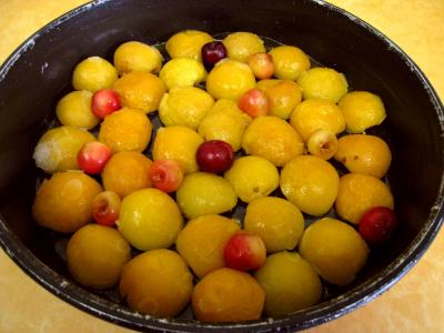 Quatre-quarts aux abricots et aux cerises - 5.3