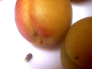 Quatre-quarts aux abricots et aux cerises - 2.3