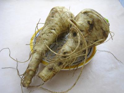 Panais