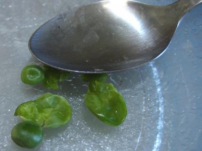 Soupe froide aux petits pois - 1.4