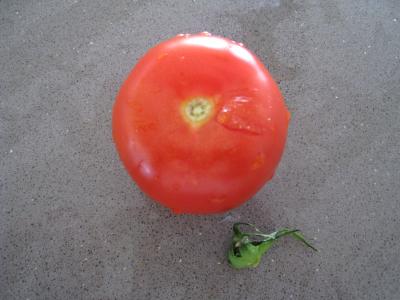 Pâtes complètes aux carottes et légumes pour diabétiques - 6.3