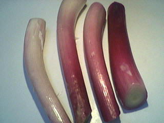Omelette aux ognasses à la landaise - 1.3