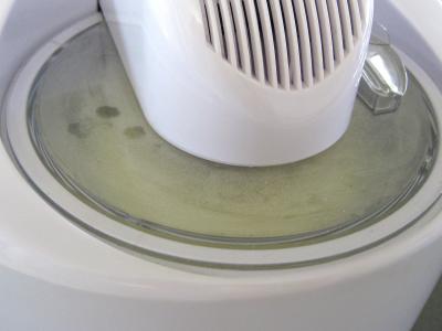 Glace à la vanille pour diabétiques - 6.3