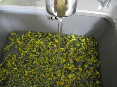 Gelée ou cramaillote de fleurs de pissenlits - 1.1