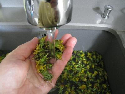 Gelée ou cramaillote de fleurs de pissenlits - 1.2