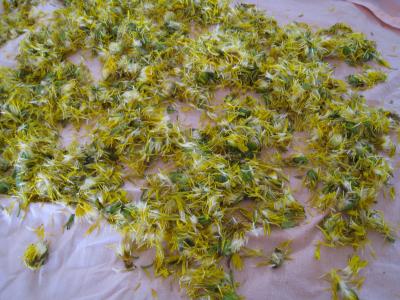 Gelée ou cramaillote de fleurs de pissenlits - 2.2
