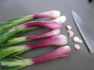 Crème d'ognasses et d'asperges façon landaise - 2.1