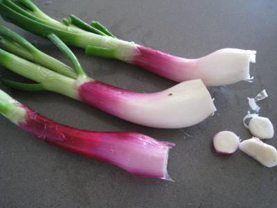 Gratin de pâtes aux ognasses façon landaise - 1.1