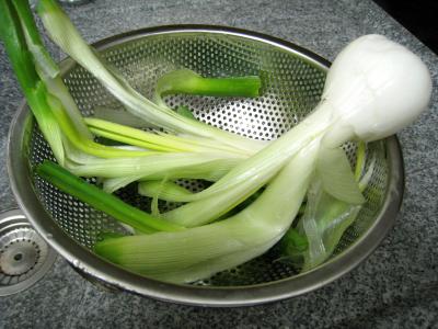 Souris d'agneau aux pommes de terre et aux oignons - 2.2