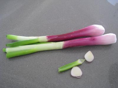 Sauté d'asperges, de chou et d'ognasses - 3.1