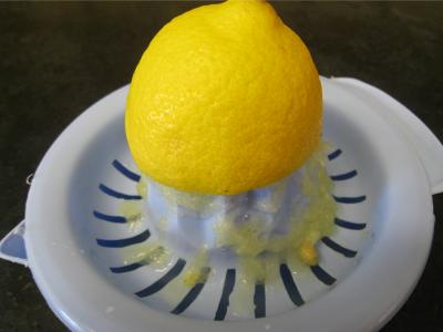 Verrine au coeur de palmier - 2.2