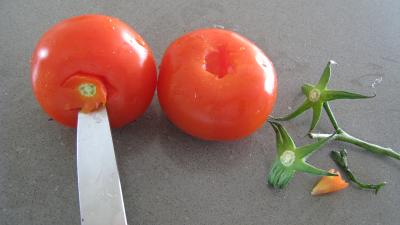 Assiette de crudités - 4.3