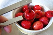 Thon au chou-rave et cerises - 4.2
