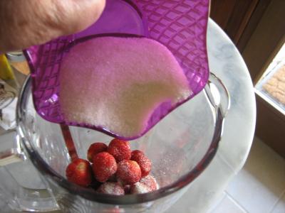 Mousse aux fraises et aux myrtilles - 2.3