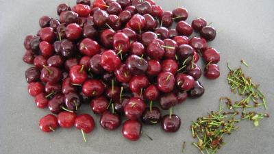 Cerises à l'eau de vie - 1.3